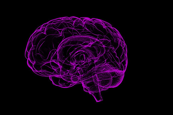 Un hombre vive toda su vida con la mitad del cerebro