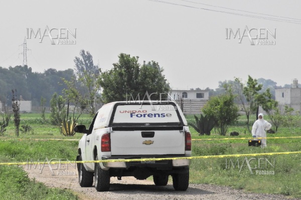 Abandonan cuerpo en auto calcinado