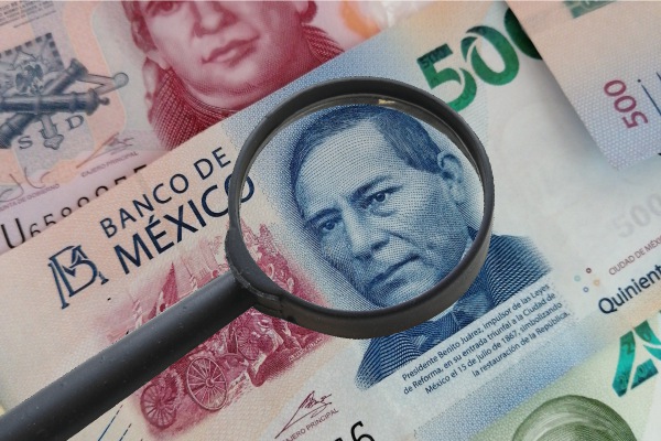 Morena y PES, obligados a transparentar “generosidad”