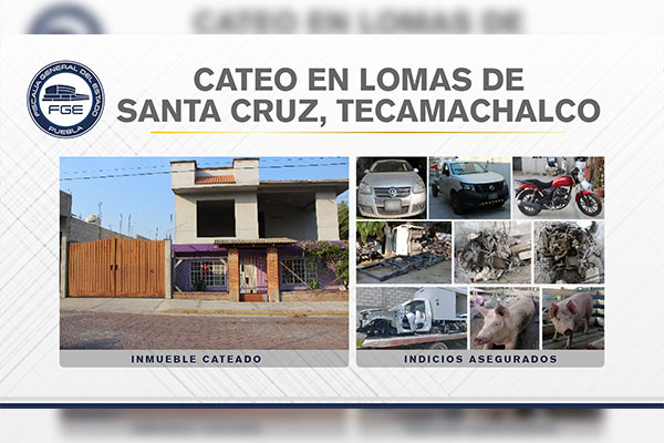 FGE asegura vehículos y autopartes robadas durante cateo