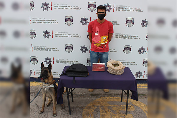 Un perro policía le arruinó su viaje de “negocios”