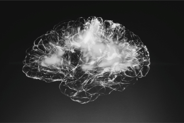 Captan en video cómo el cerebro elimina las neuronas muertas