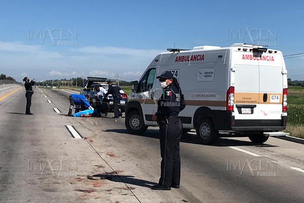 Lo atropellan en la Puebla-Orizaba y tardan 7 horas en levantar su cuerpo