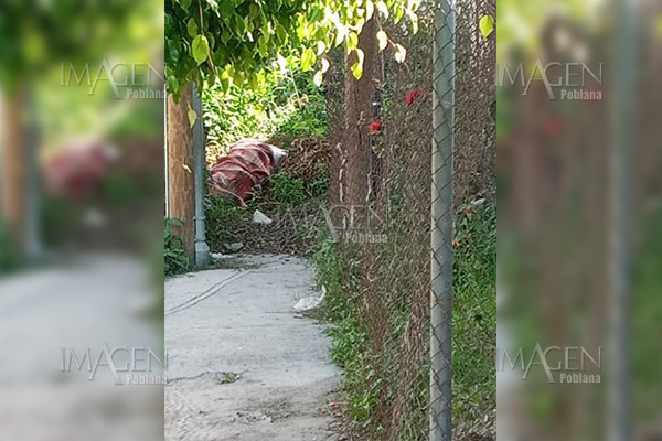 Abandonan cadáver encobijado en terreno baldío