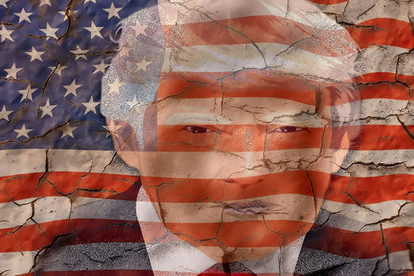 A Golpes de Razón 7: La Venganza de Donald, el güero, no el pato
