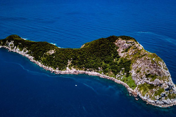 La Isla de las Serpientes, lugar prohibido para el humano