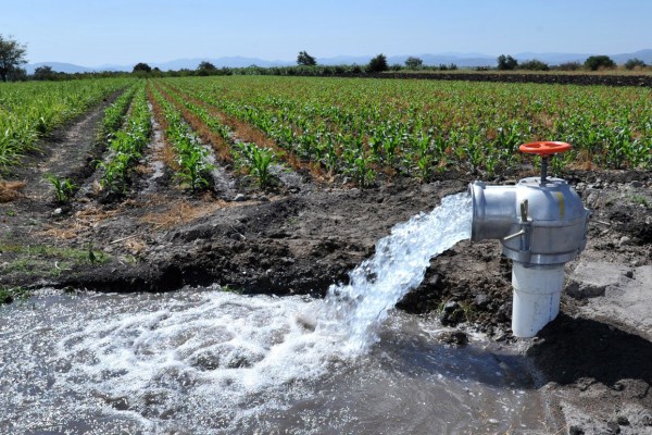 Políticos, acaparadores y criminales: la red detrás del conflicto por agua en Chihuahua