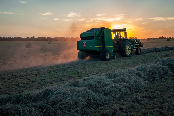 Agricultura y automóviles impulsarán recuperación económica de México