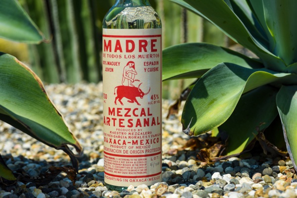Reglas de oro para beber mezcal